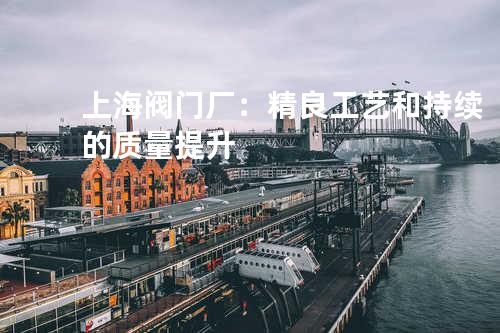 上海阀门厂：精良工艺和持续的质量提升