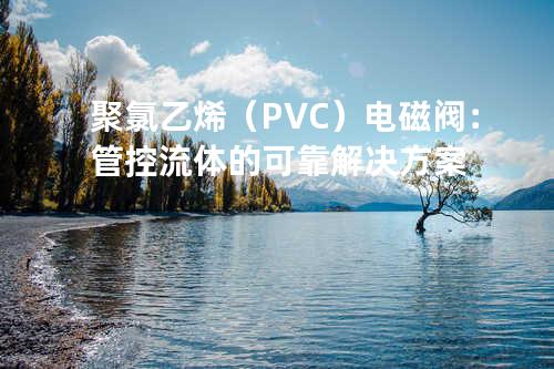 聚氯乙烯（PVC）电磁阀：管控流体的可靠解决方案