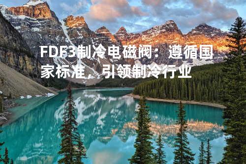 FDF-3制冷电磁阀：遵循国家标准，引领制冷行业