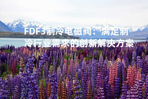 FDF-3制冷电磁阀：满足制冷行业需求的创新解决方案